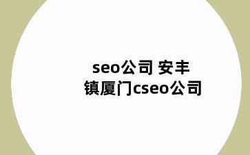 seo公司 安丰镇厦门cseo公司